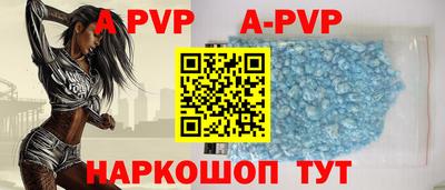 jwh Кингисепп